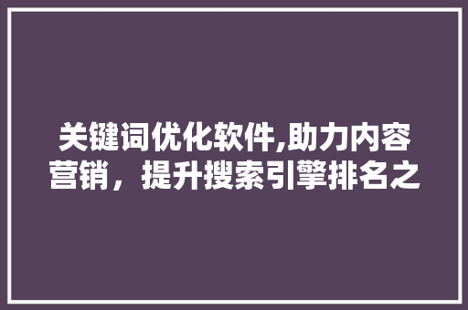 关键词优化软件,助力内容营销，提升搜索引擎排名之路