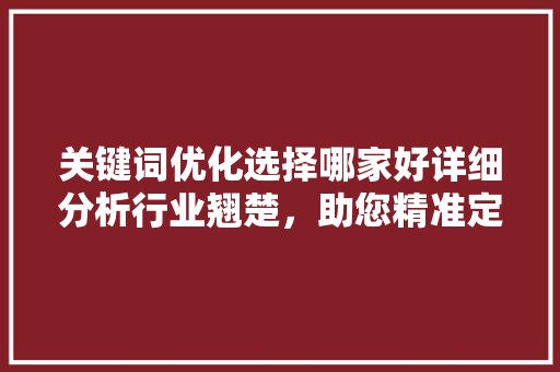 关键词优化选择哪家好详细分析行业翘楚，助您精准定位
