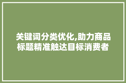 关键词分类优化,助力商品标题精准触达目标消费者