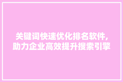 关键词快速优化排名软件,助力企业高效提升搜索引擎排名