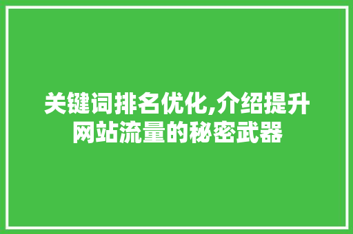关键词排名优化,介绍提升网站流量的秘密武器