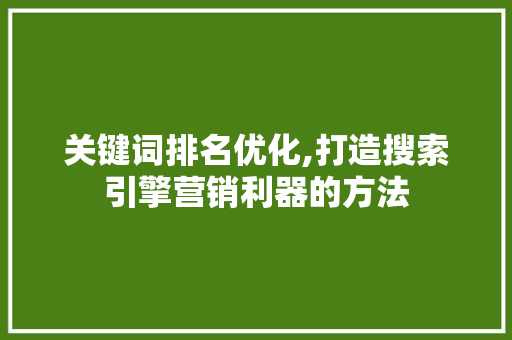 关键词排名优化,打造搜索引擎营销利器的方法