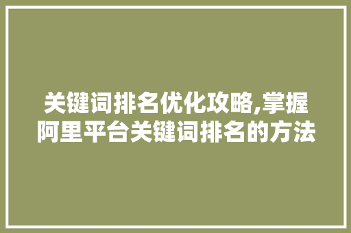关键词排名优化攻略,掌握阿里平台关键词排名的方法