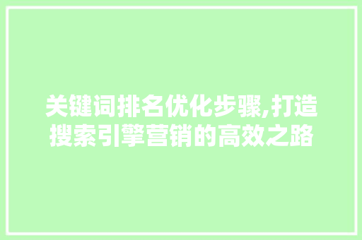关键词排名优化步骤,打造搜索引擎营销的高效之路