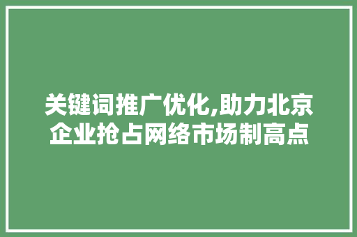 关键词推广优化,助力北京企业抢占网络市场制高点