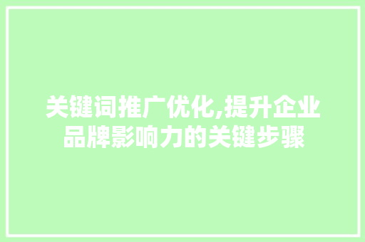 关键词推广优化,提升企业品牌影响力的关键步骤