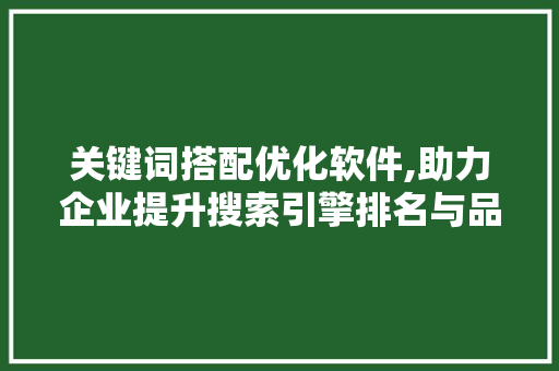 关键词搭配优化软件,助力企业提升搜索引擎排名与品牌影响力