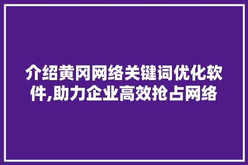 介绍黄冈网络关键词优化软件,助力企业高效抢占网络市场