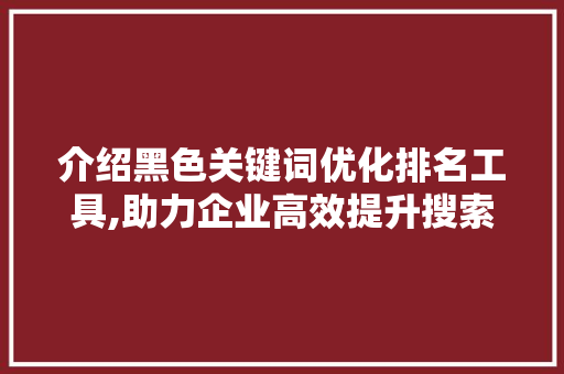 介绍黑色关键词优化排名工具,助力企业高效提升搜索引擎排名
