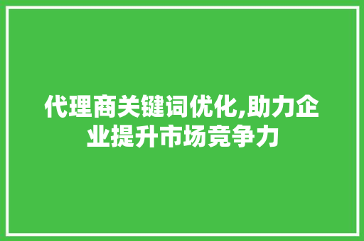 代理商关键词优化,助力企业提升市场竞争力