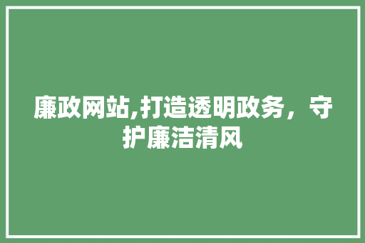 廉政网站,打造透明政务，守护廉洁清风