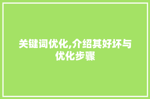 关键词优化,介绍其好坏与优化步骤
