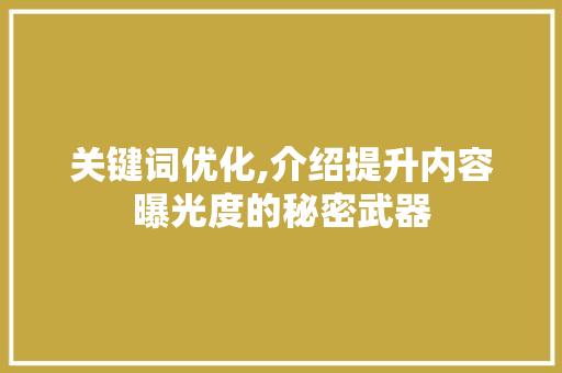 关键词优化,介绍提升内容曝光度的秘密武器