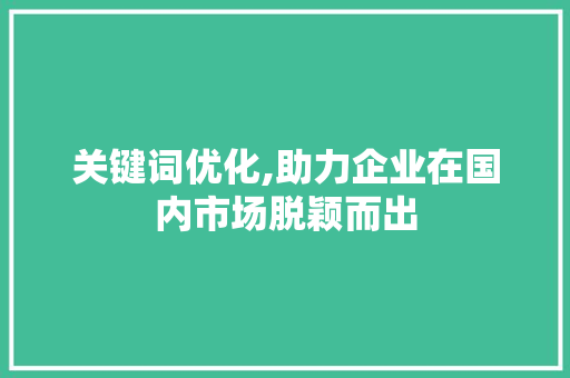 关键词优化,助力企业在国内市场脱颖而出