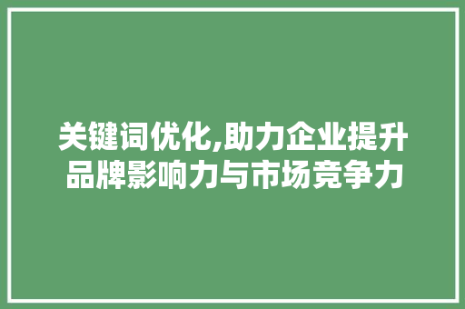 关键词优化,助力企业提升品牌影响力与市场竞争力