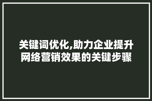 关键词优化,助力企业提升网络营销效果的关键步骤