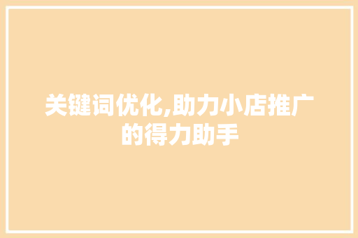 关键词优化,助力小店推广的得力助手