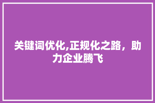 关键词优化,正规化之路，助力企业腾飞