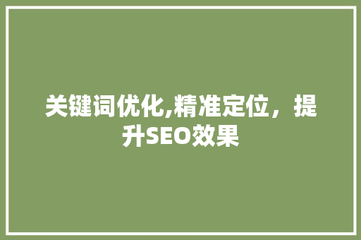 关键词优化,精准定位，提升SEO效果