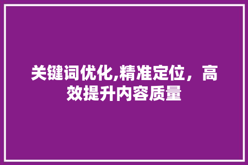 关键词优化,精准定位，高效提升内容质量