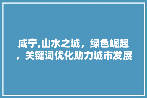 咸宁,山水之城，绿色崛起，关键词优化助力城市发展