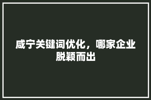咸宁关键词优化，哪家企业脱颖而出