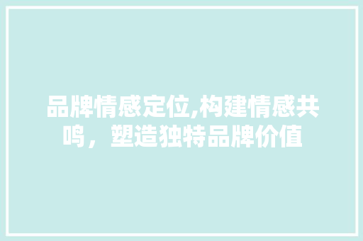 品牌情感定位,构建情感共鸣，塑造独特品牌价值