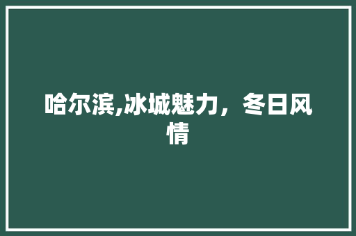 哈尔滨,冰城魅力，冬日风情