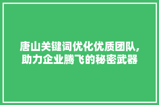 唐山关键词优化优质团队,助力企业腾飞的秘密武器