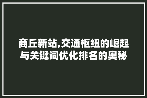 商丘新站,交通枢纽的崛起与关键词优化排名的奥秘