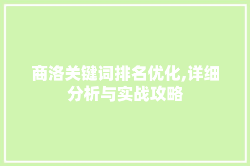 商洛关键词排名优化,详细分析与实战攻略