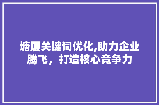 塘厦关键词优化,助力企业腾飞，打造核心竞争力