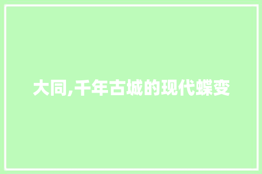 大同,千年古城的现代蝶变 MySQL