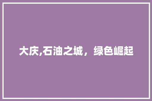 大庆,石油之城，绿色崛起