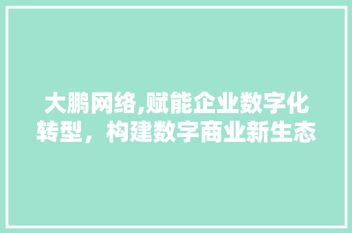 大鹏网络,赋能企业数字化转型，构建数字商业新生态