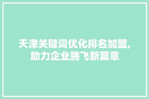 天津关键词优化排名加盟,助力企业腾飞新篇章