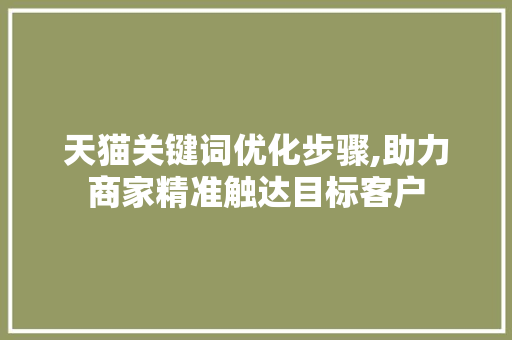 天猫关键词优化步骤,助力商家精准触达目标客户