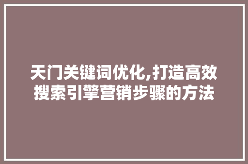 天门关键词优化,打造高效搜索引擎营销步骤的方法