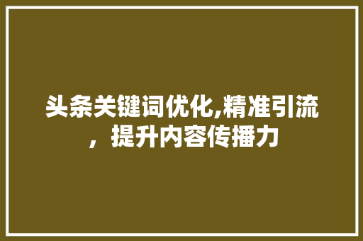 头条关键词优化,精准引流，提升内容传播力