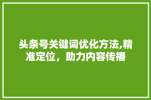 头条号关键词优化方法,精准定位，助力内容传播