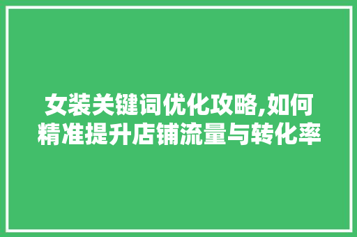 女装关键词优化攻略,如何精准提升店铺流量与转化率