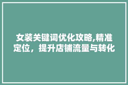 女装关键词优化攻略,精准定位，提升店铺流量与转化率
