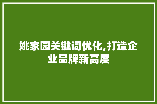 姚家园关键词优化,打造企业品牌新高度