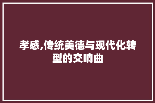 孝感,传统美德与现代化转型的交响曲