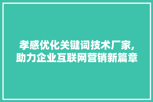 孝感优化关键词技术厂家,助力企业互联网营销新篇章