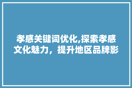 孝感关键词优化,探索孝感文化魅力，提升地区品牌影响力