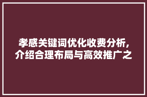 孝感关键词优化收费分析,介绍合理布局与高效推广之路