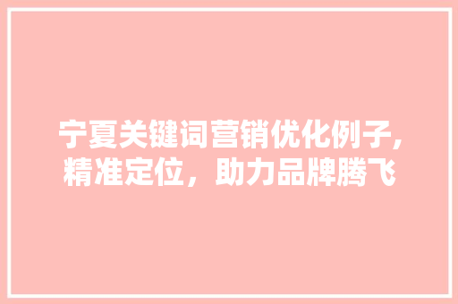 宁夏关键词营销优化例子,精准定位，助力品牌腾飞 MySQL