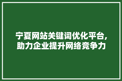宁夏网站关键词优化平台,助力企业提升网络竞争力