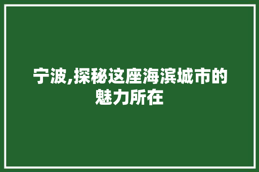 宁波,探秘这座海滨城市的魅力所在